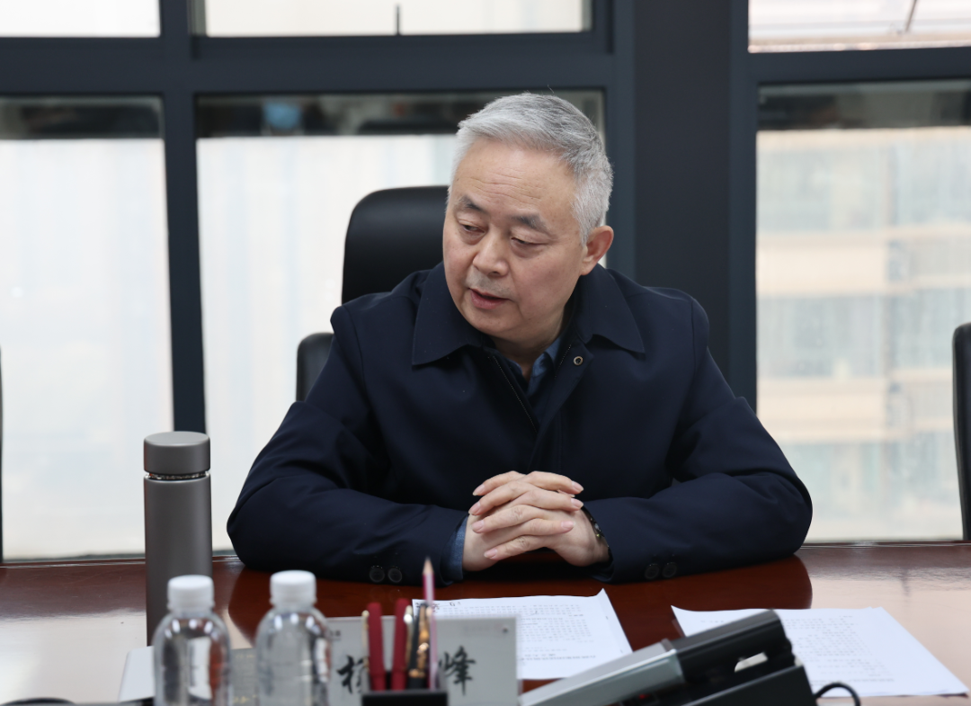 楊海峰對鎂鐵釩鈦耦合發展提出新要求 楊海峰對鎂鐵釩鈦耦合發展提出新要求