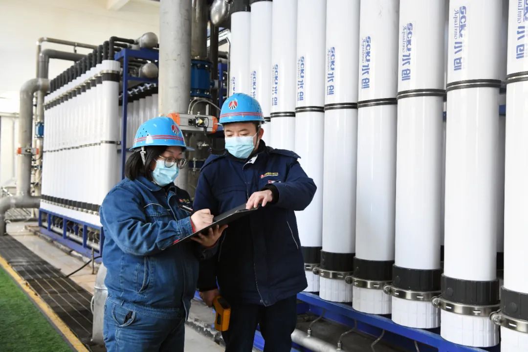 踏春而歌 邁出節能降耗鏗鏘步伐 踏春而歌 邁出節能降耗鏗鏘步伐