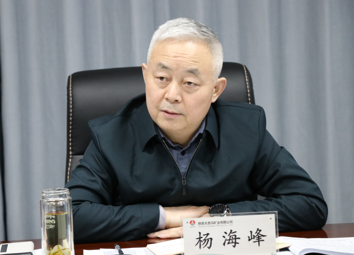 陜鋼集團召開大西溝菱鐵礦低成本開發領導小組會議 陜鋼集團召開大西溝菱鐵礦低成本開發領導小組會議
