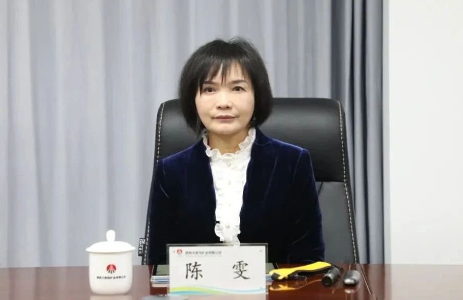 陜鋼集團召開大西溝菱鐵礦低成本開發領導小組會議 陜鋼集團召開大西溝菱鐵礦低成本開發領導小組會議