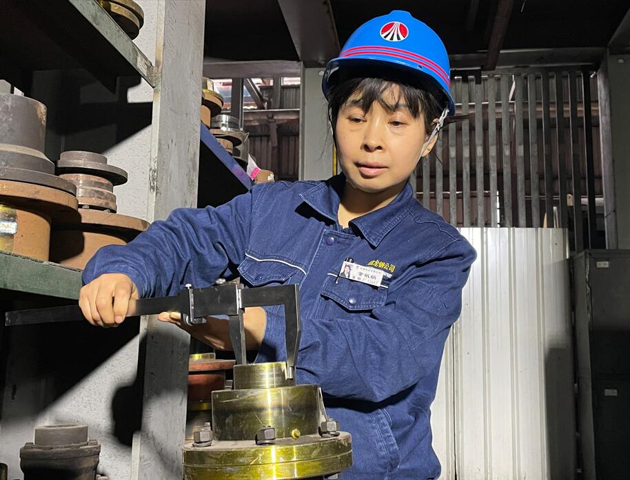 鏗鏘玫瑰 綻放別樣風采 ——記中國冶金報“最美鋼花”董敏娟 鏗鏘玫瑰 綻放別樣風采 ——記中國冶金報“最美鋼花”董敏娟