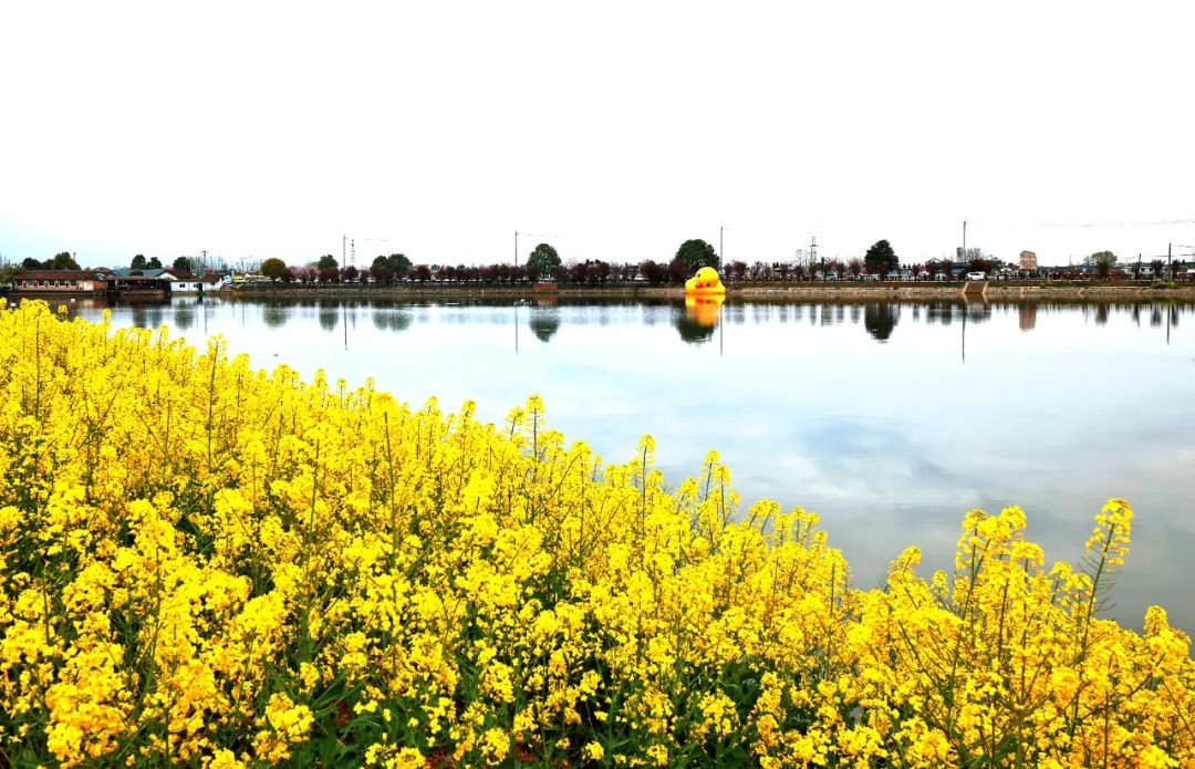 探尋陜西春天的魅力 探尋陜西春天的魅力