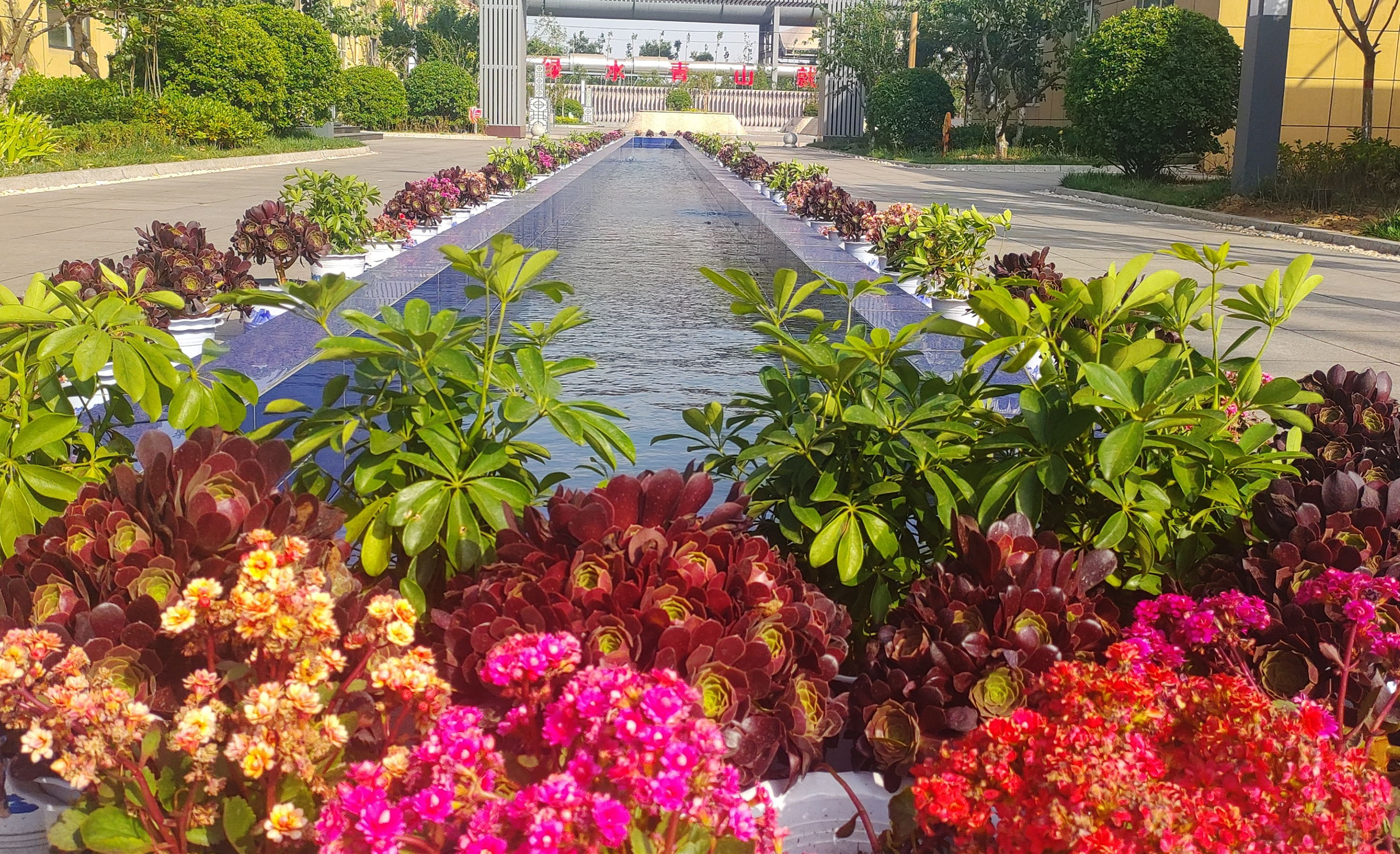 向綠而行 用實干擦亮鋼城最美底色 向綠而行 用實干擦亮鋼城最美底色