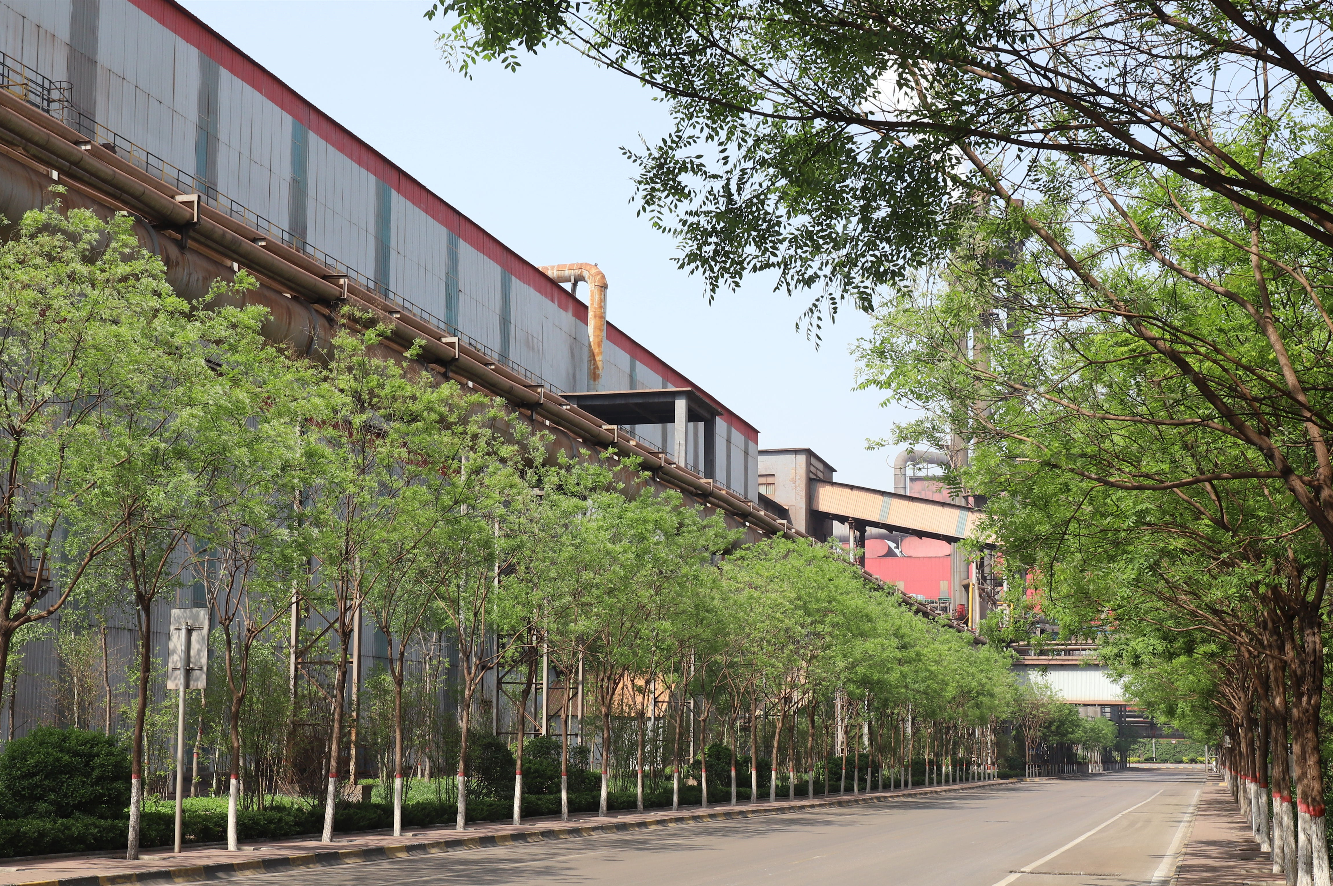 向綠而行 用實干擦亮鋼城最美底色 向綠而行 用實干擦亮鋼城最美底色