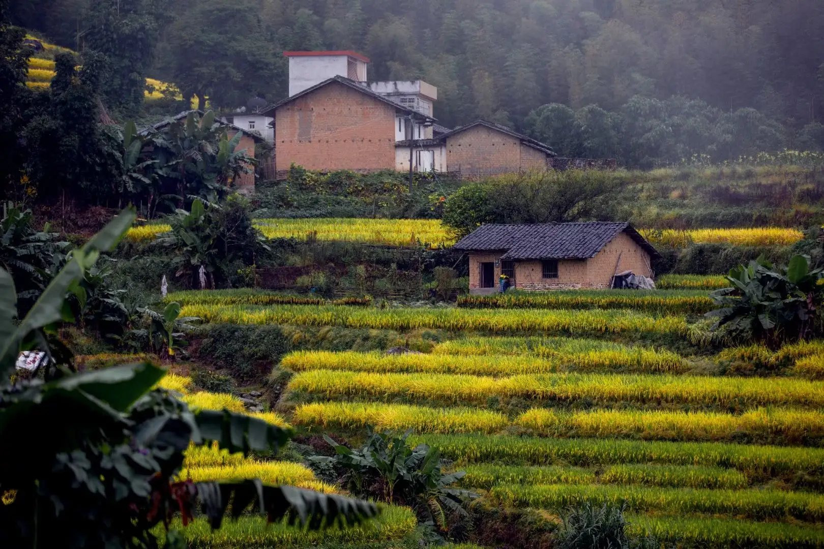 一半熱烈,一半溫柔 一半熱烈,一半溫柔