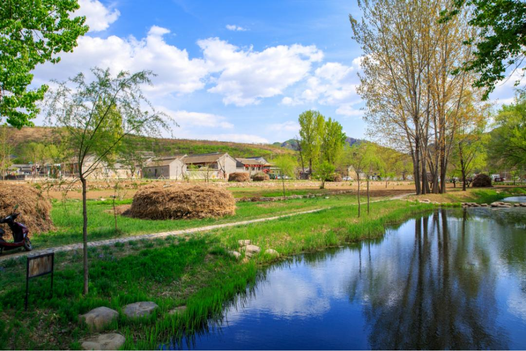 一半熱烈,一半溫柔 一半熱烈,一半溫柔