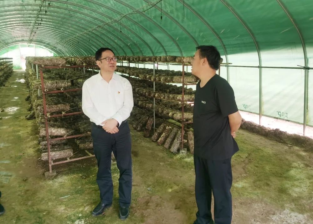 陜鋼集團開展抓黨建促鄉(xiāng)村振興工作調(diào)研 陜鋼集團開展抓黨建促鄉(xiāng)村振興工作調(diào)研