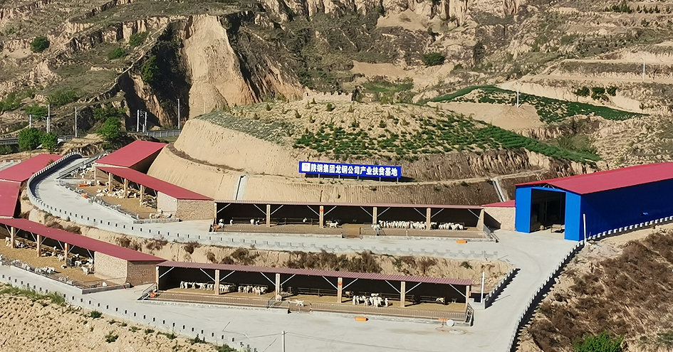 陜鋼集團榮獲助力鄉村振興工作多項榮譽 陜鋼集團榮獲助力鄉村振興工作多項榮譽