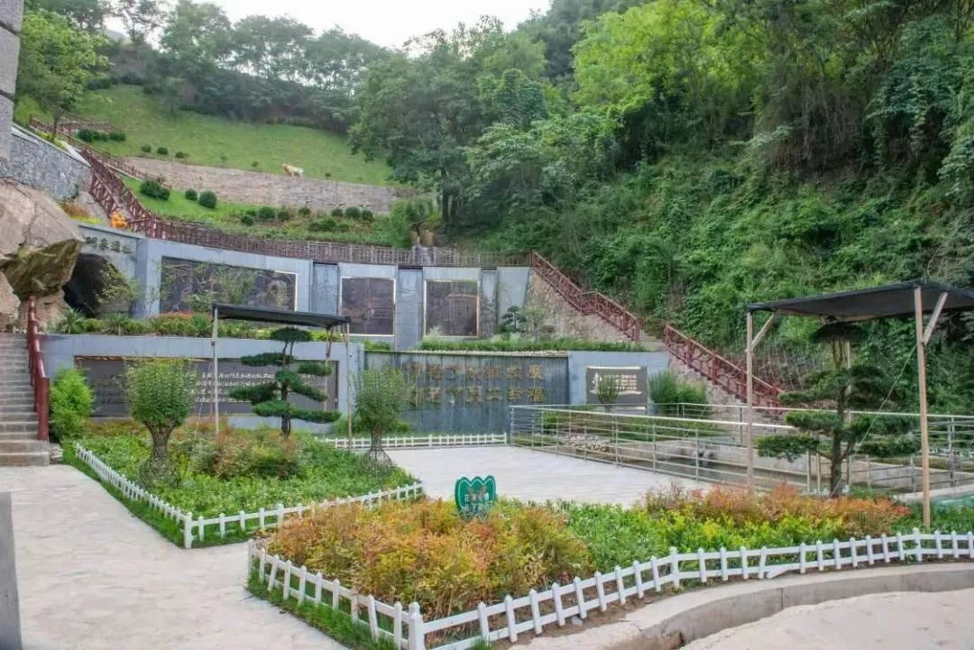 以革故鼎新,打造陜鋼生態糧倉 以革故鼎新,打造陜鋼生態糧倉