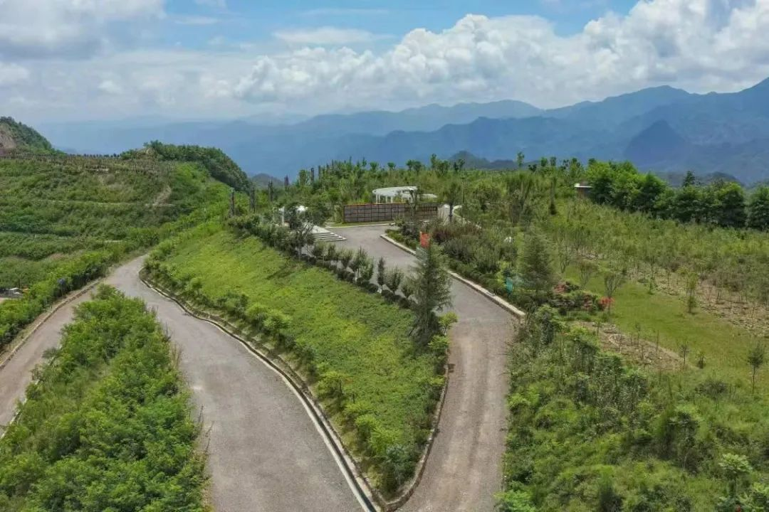 以革故鼎新,打造陜鋼生態糧倉 以革故鼎新,打造陜鋼生態糧倉