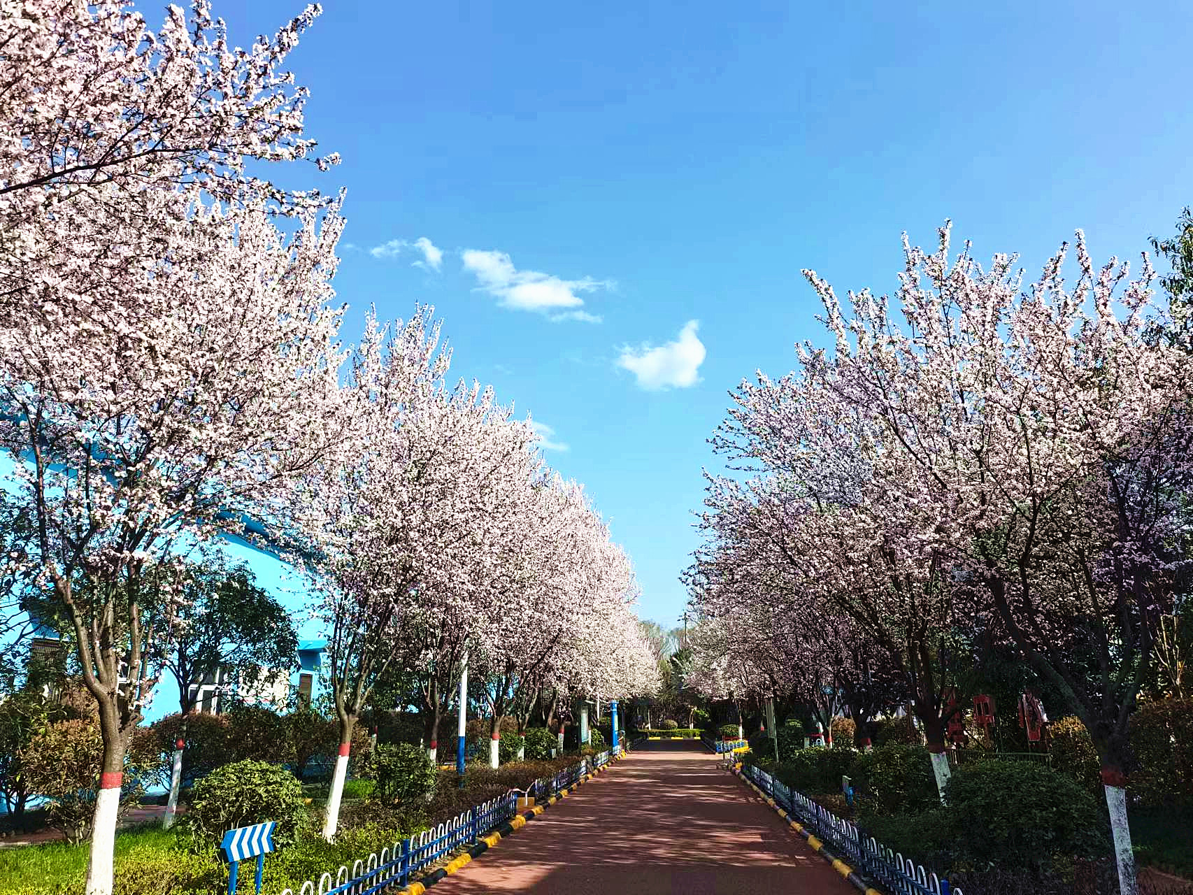 持續做好增綠擴綠補綠 美麗漢鋼繪就綠色發展新篇章 持續做好增綠擴綠補綠 美麗漢鋼繪就綠色發展新篇章