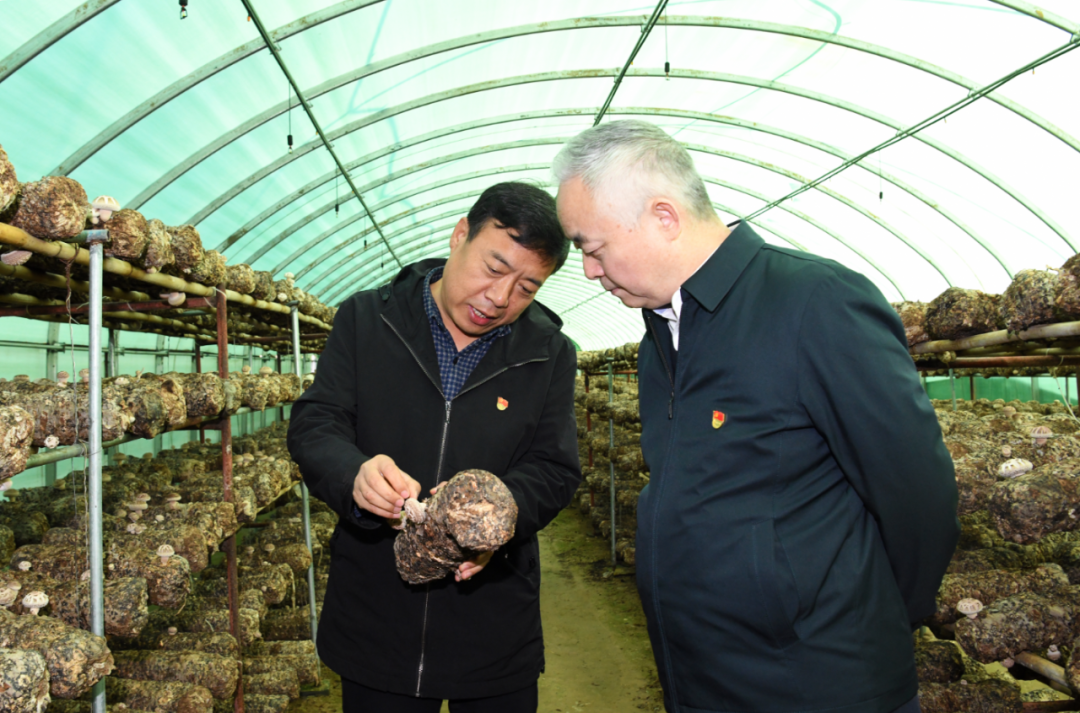 楊海峰到綏德縣西直溝村開展助力鄉村振興工作調研 楊海峰到綏德縣西直溝村開展助力鄉村振興工作調研