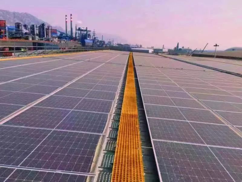 篤定前行 創新賦能 跑出綠色低碳高質量發展加速度 篤定前行 創新賦能 跑出綠色低碳高質量發展加速度