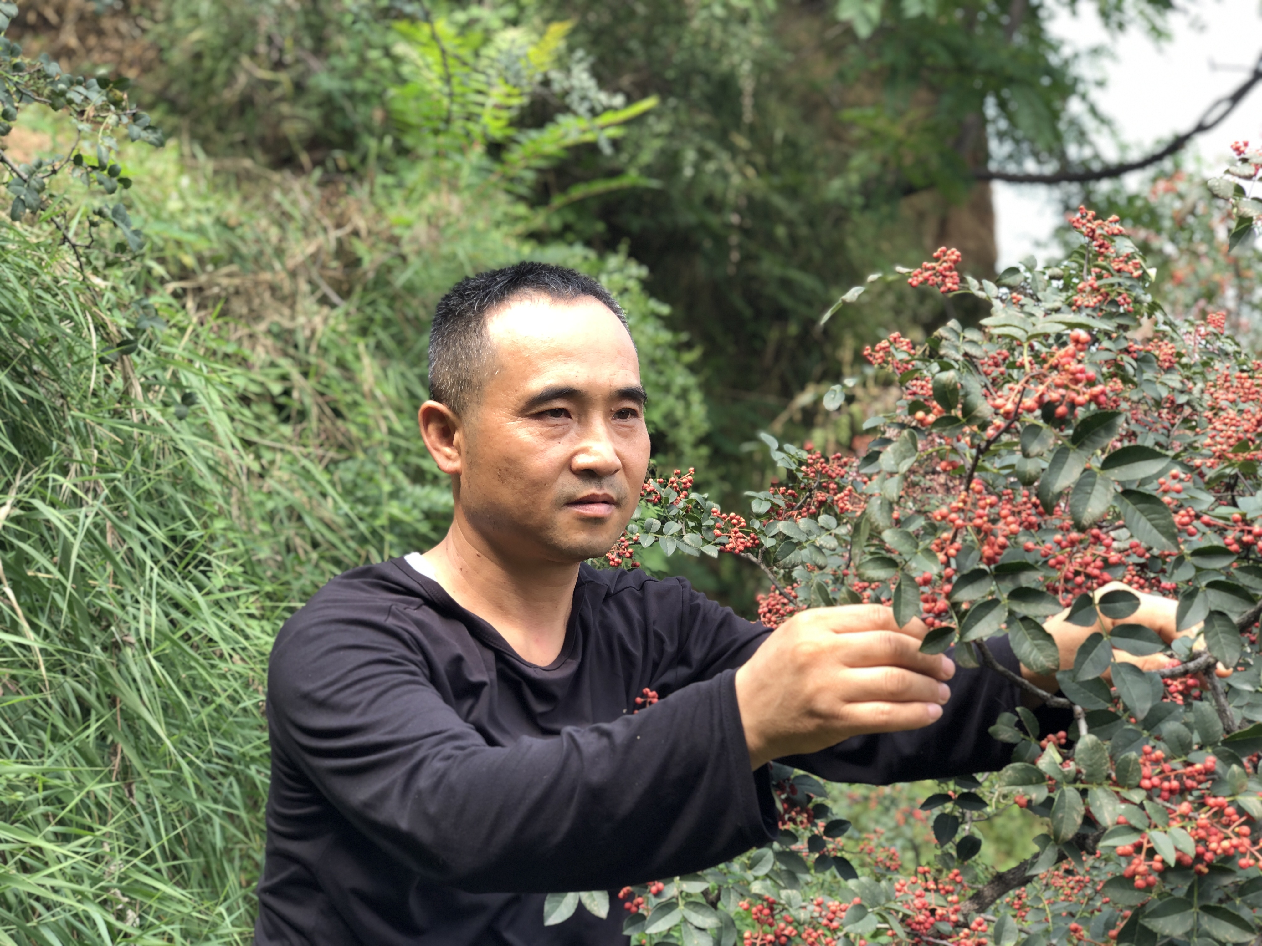 逆境脫貧 勤勞致富 ——記2023年度自強勵志“韓城道德模范”王亞軍 逆境脫貧 勤勞致富 ——記2023年度自強勵志“韓城道德模范”王亞軍