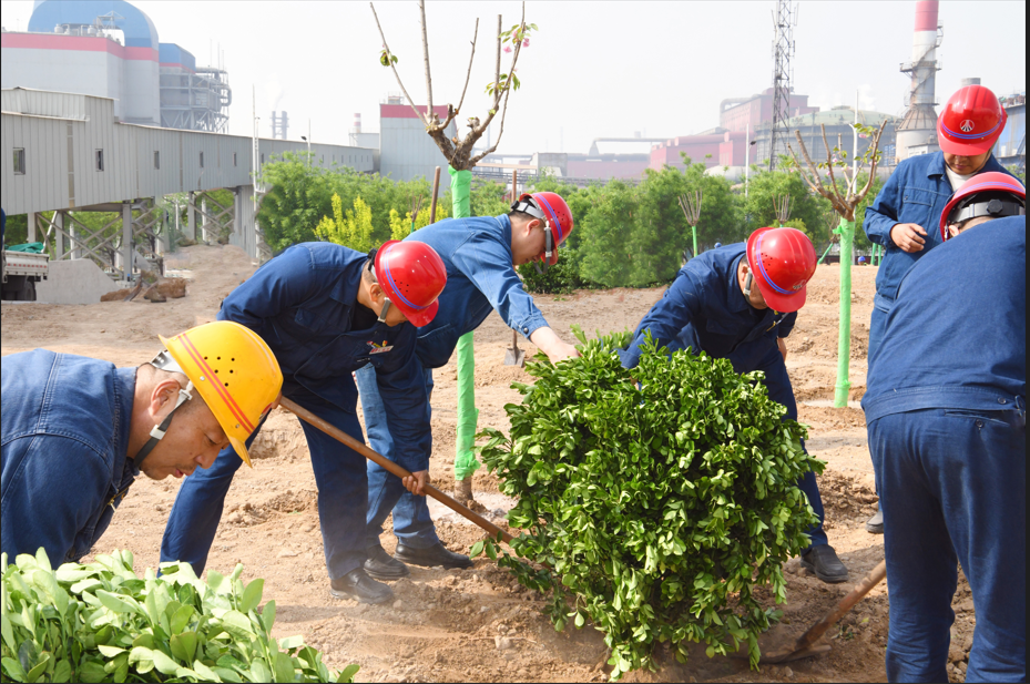 陜鋼龍鋼公司自主綠化節(jié)資1000萬元 陜鋼龍鋼公司自主綠化節(jié)資1000萬元