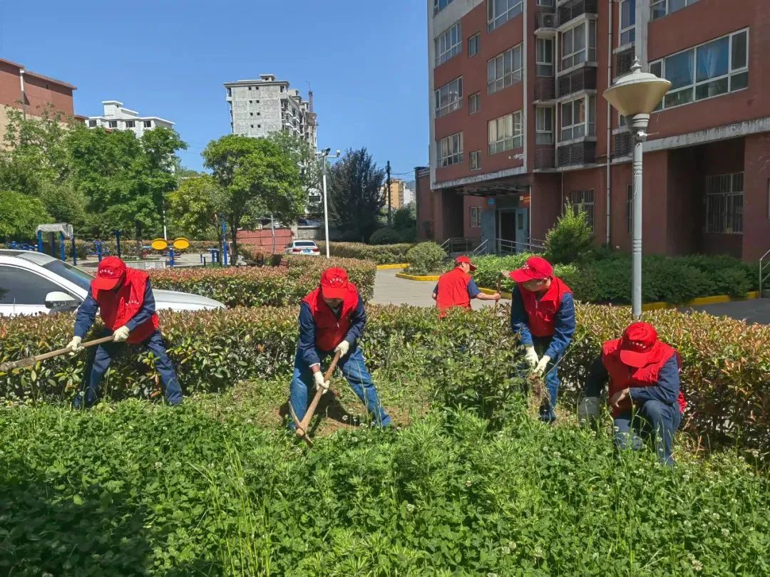 䓼F(tun)F(tun)ί_(ki)չP(yng)ഺ֮ ^(dng)r(sh)o(j)ġ\(yn)(dng)105ϵл(dng)