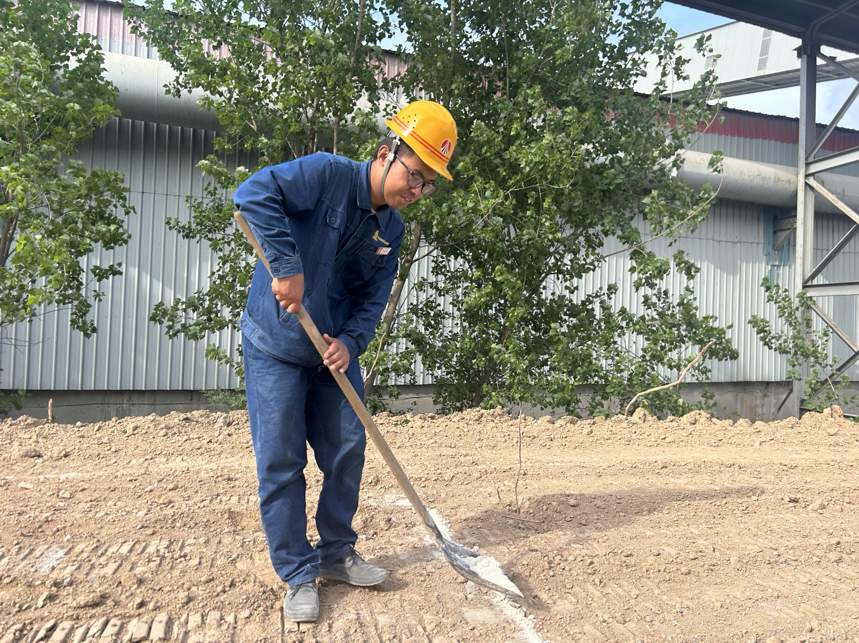 “植”此青綠 繪就綠色鋼城新圖景 “植”此青綠 繪就綠色鋼城新圖景