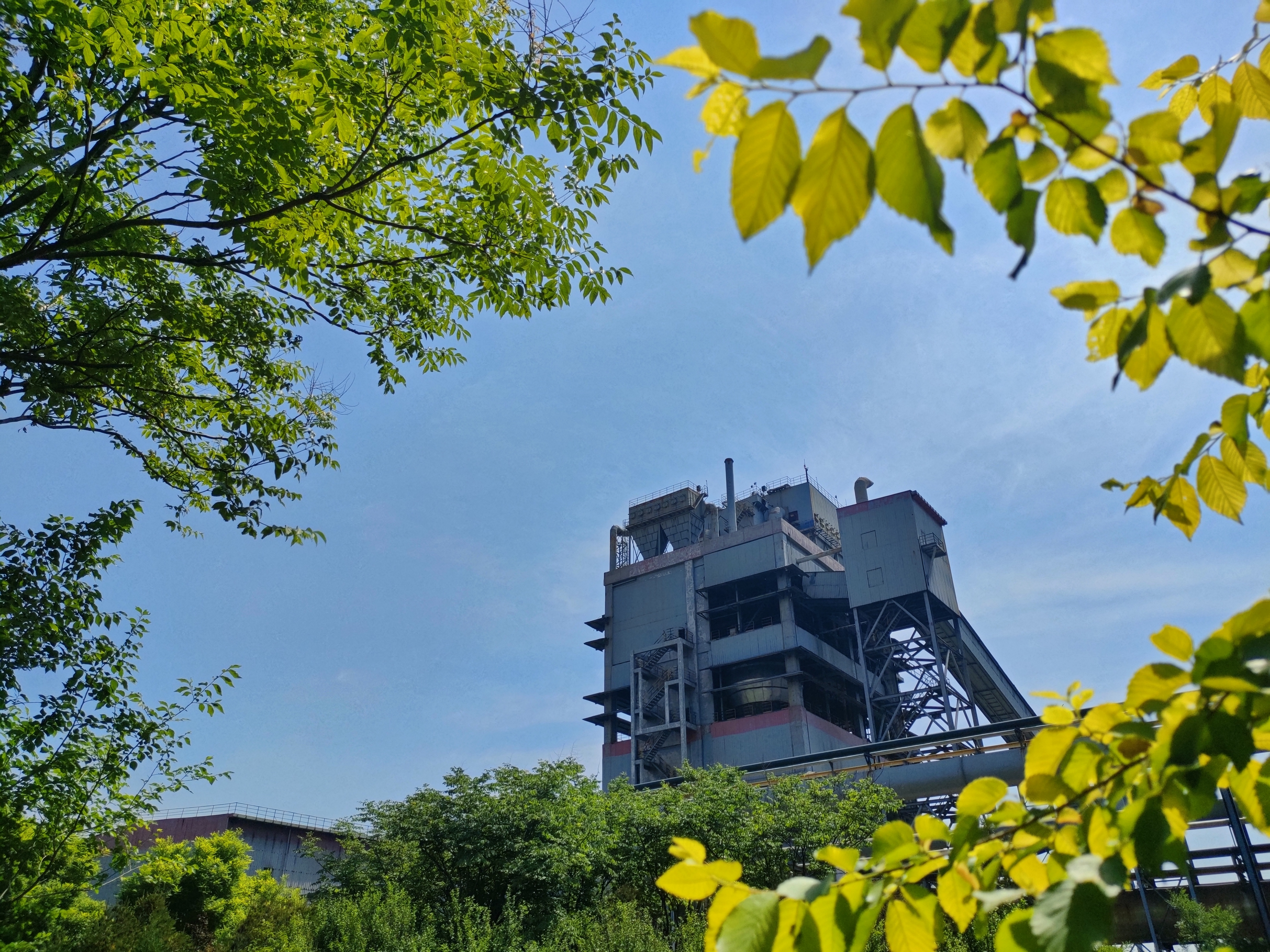向綠而行 為生態(tài)鋼城添新彩 向綠而行 為生態(tài)鋼城添新彩
