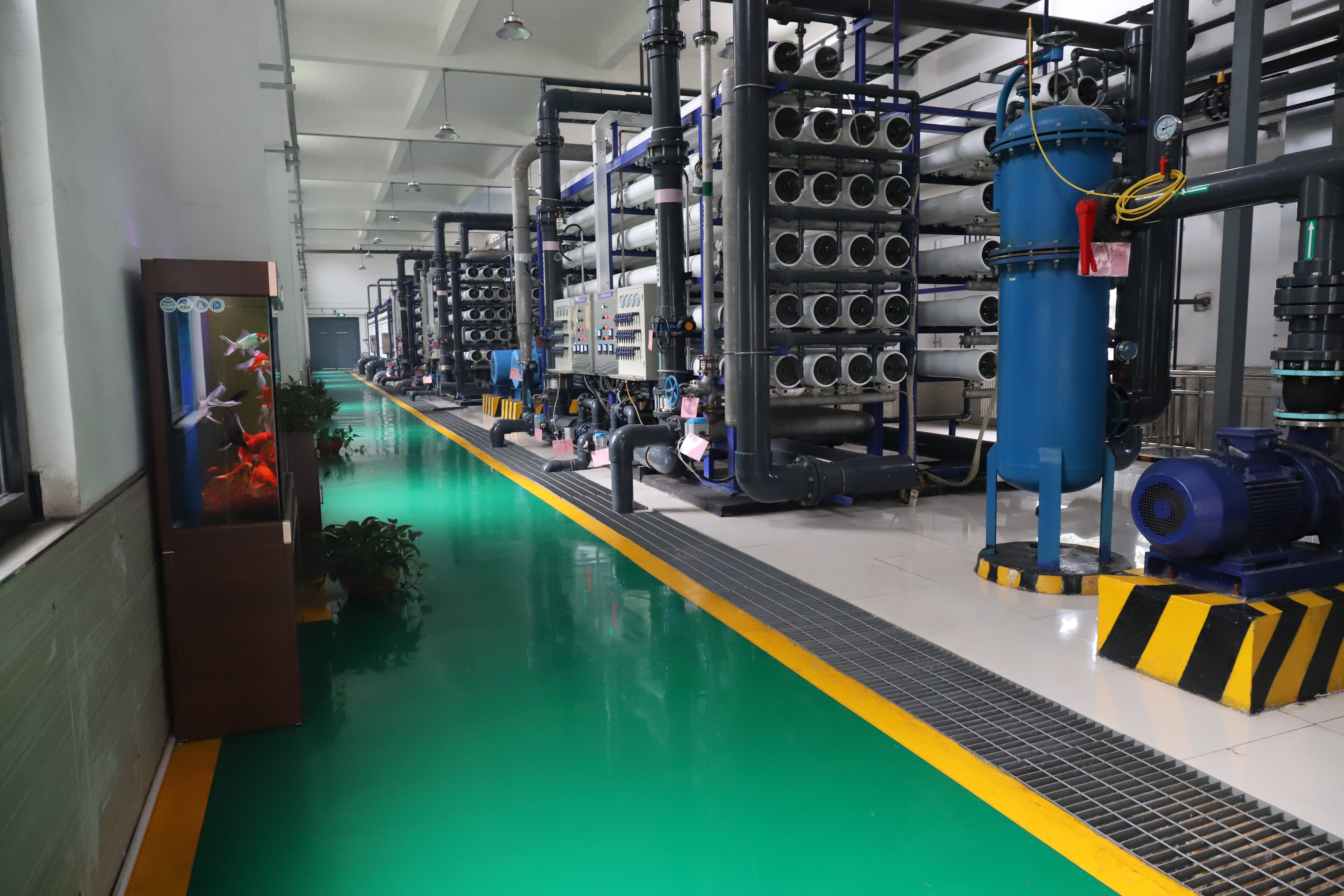 向綠而行 為生態(tài)鋼城添新彩 向綠而行 為生態(tài)鋼城添新彩