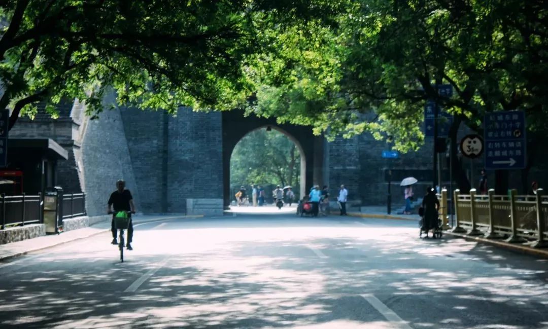 綠蔭下的夏日禮贊 綠蔭下的夏日禮贊