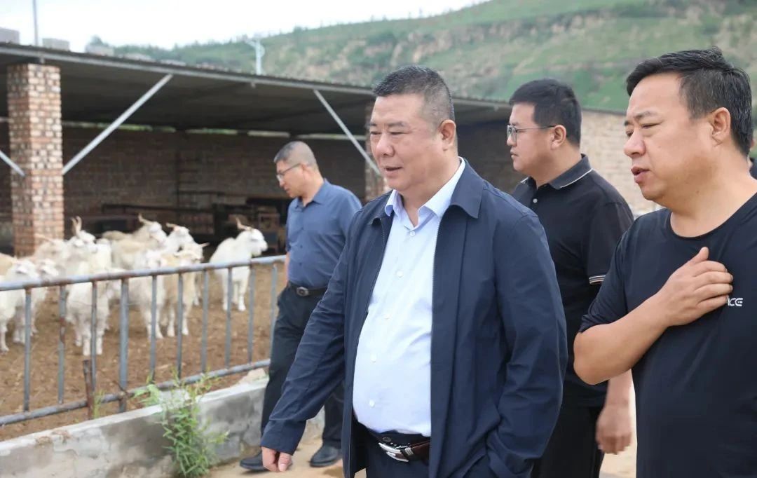 許曉增深入西直溝村開展助力鄉村振興工作調研 許曉增深入西直溝村開展助力鄉村振興工作調研