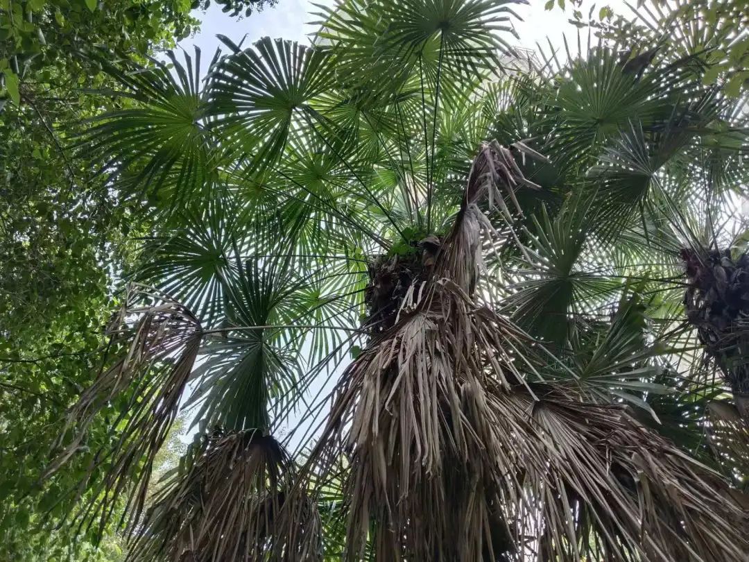 初冬的風景 初冬的風景