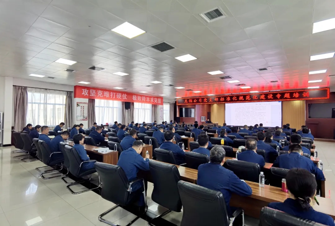 龍鋼公司黨委“三定”機(jī)制 強(qiáng)化基層黨支部建設(shè) 龍鋼公司黨委“三定”機(jī)制 強(qiáng)化基層黨支部建設(shè)