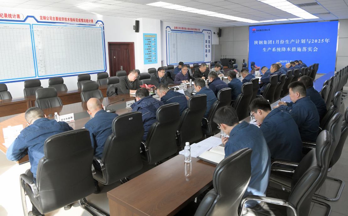 楊召朋到龍鋼公司檢查指導工作 楊召朋到龍鋼公司檢查指導工作