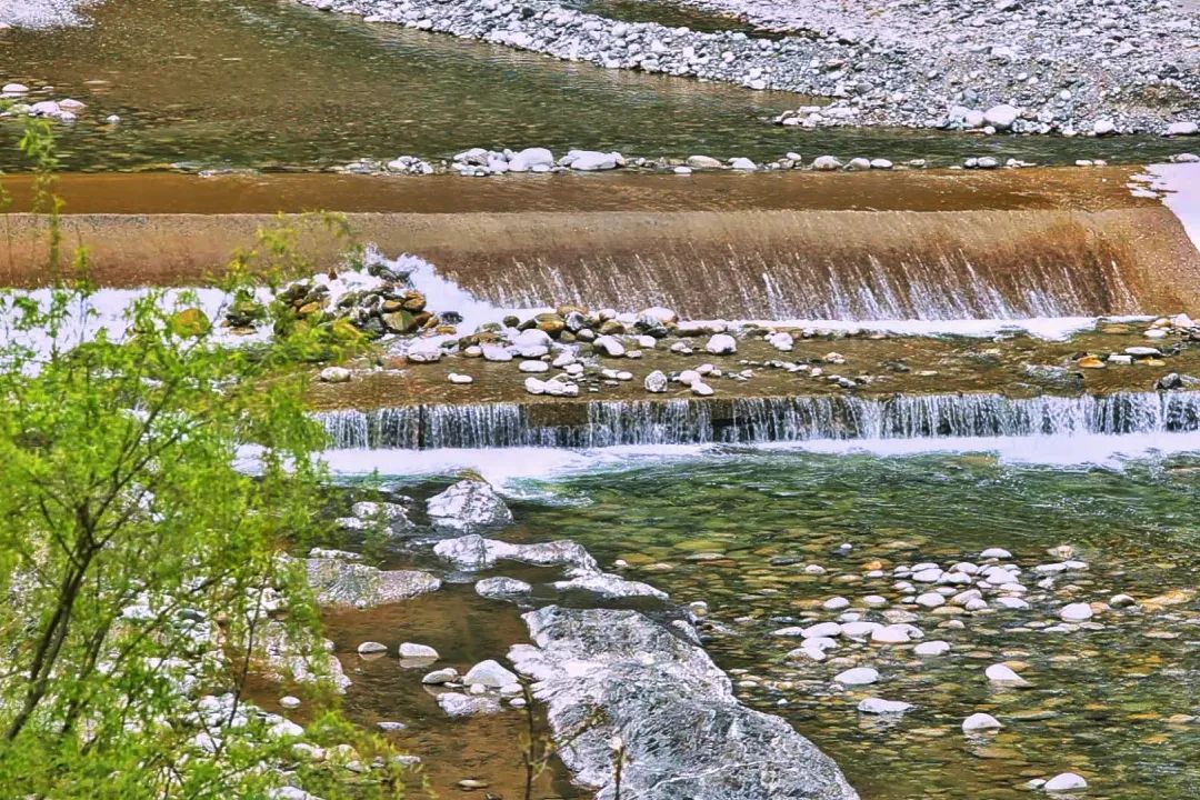 迎春的私語(yǔ) 迎春的私語(yǔ)