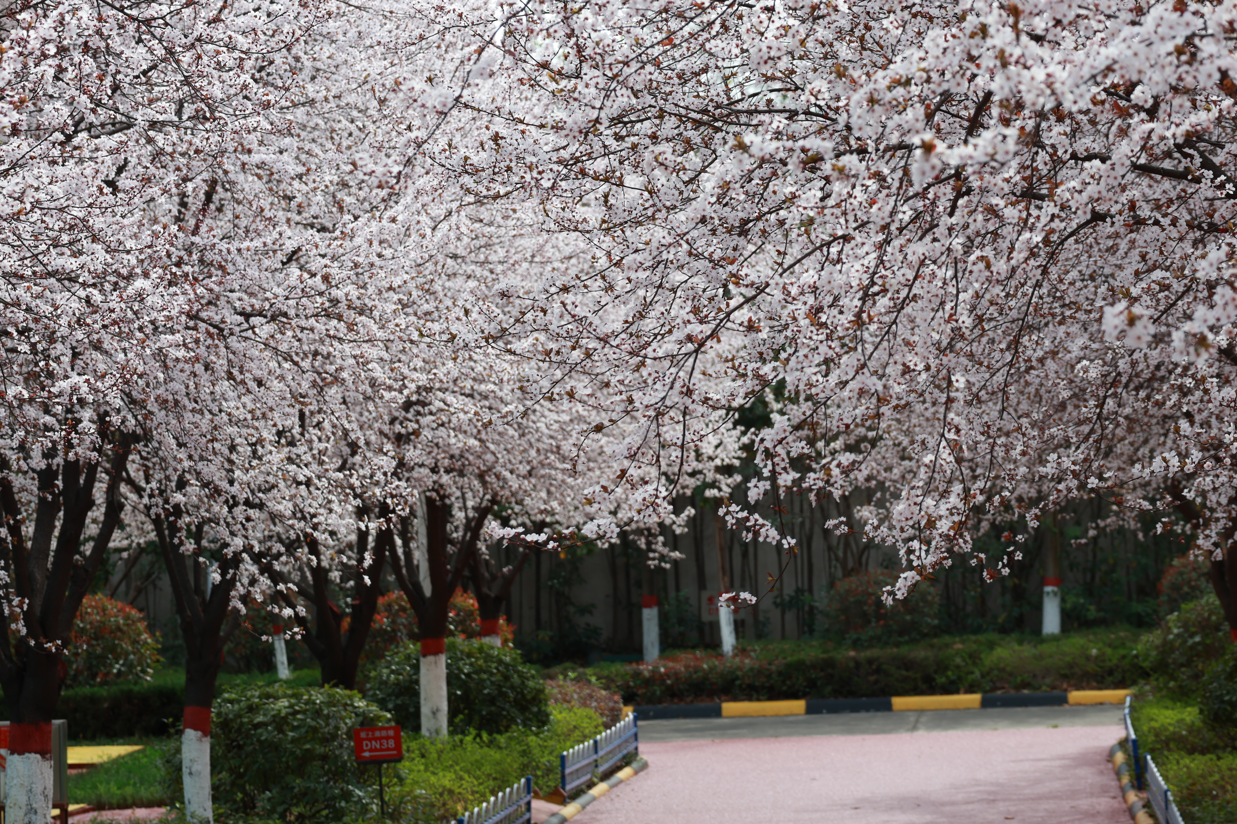 G 䓼Fh䓹˾Gɫ䓳´