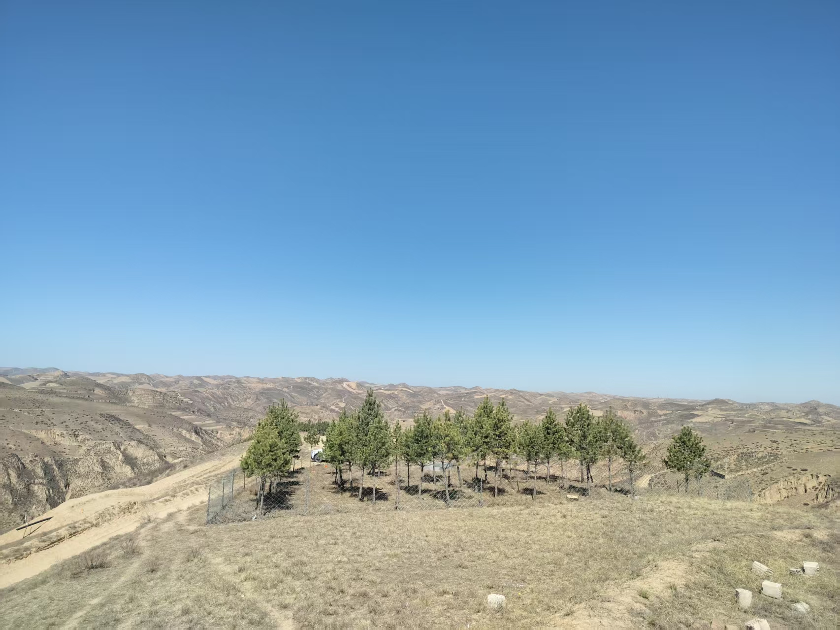 黃土地上的清明 黃土地上的清明