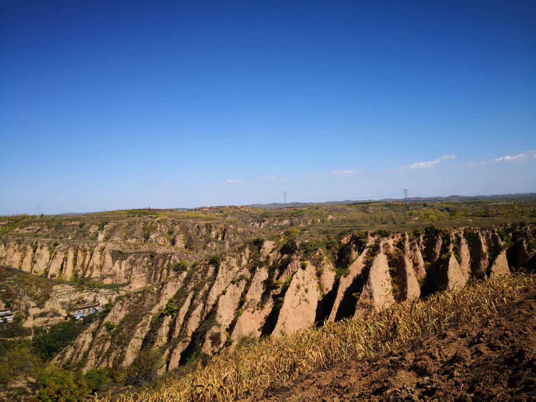 關(guān)中的“黃” 關(guān)中的“黃”