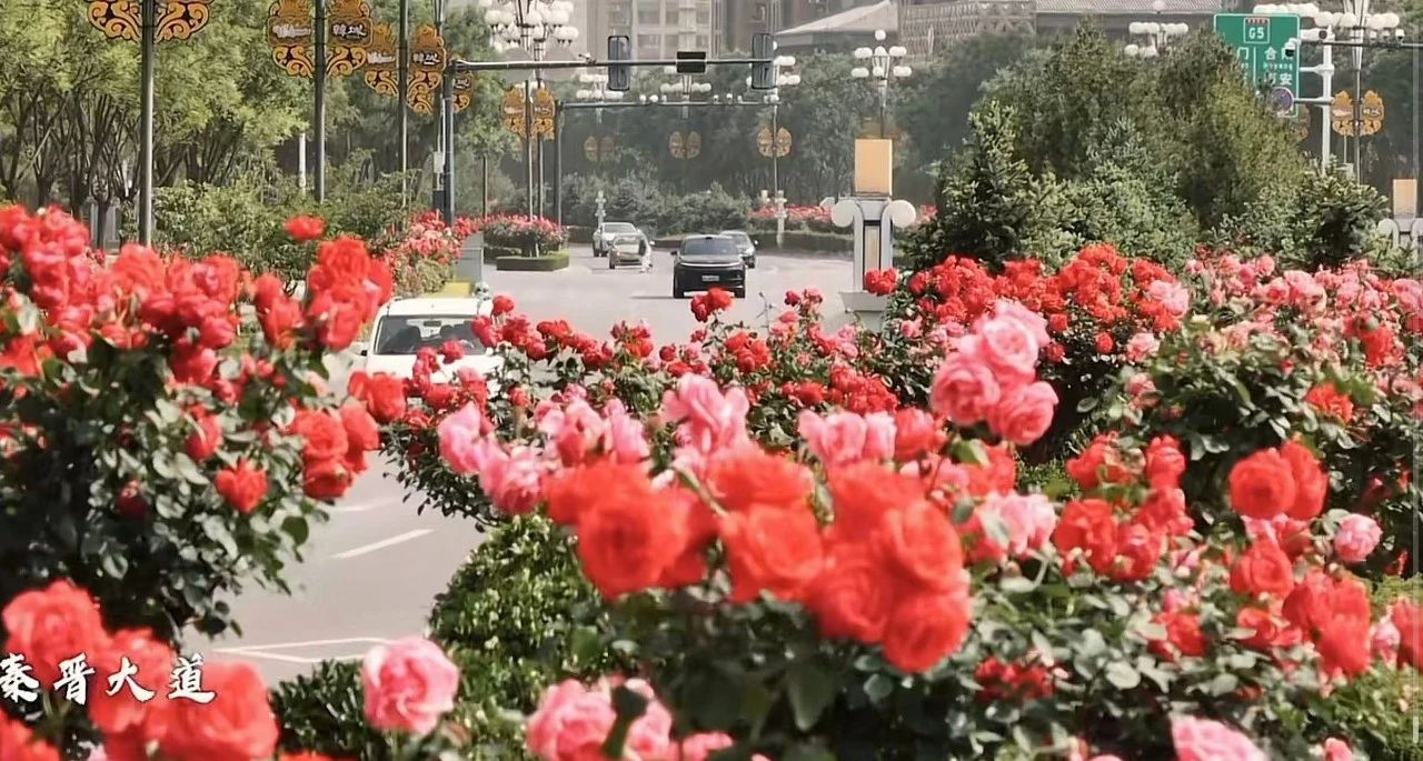 邂逅初夏 邂逅初夏