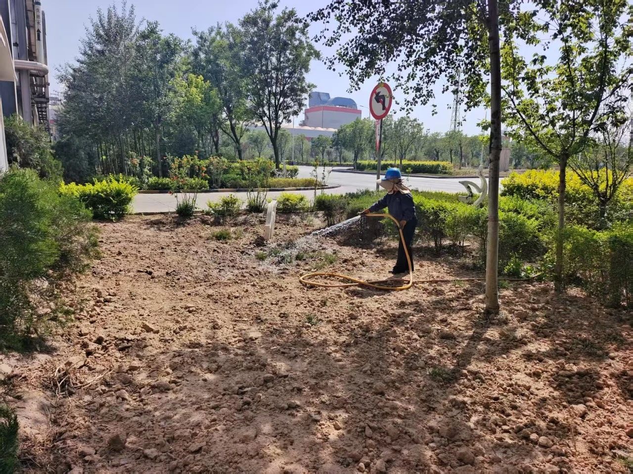 hƼ˾Gaw`GɫlչVƪ