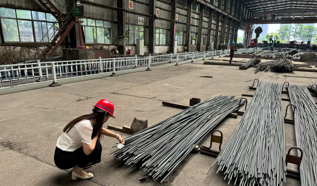 䓼F(tun)(qing)̱ץL(fng)ľٰl(f)չ